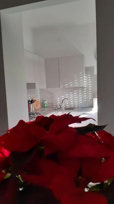 Lo Tsanty Casa Vacanza Aoste Extérieur photo